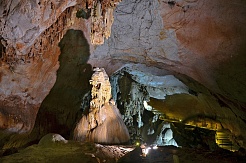 В Крыму открыто древнейшее пещерное местонахождение ископаемых животных в России