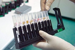 В Москве началось массовое тестирование на коронавирус сотрудников образовательных учреждений